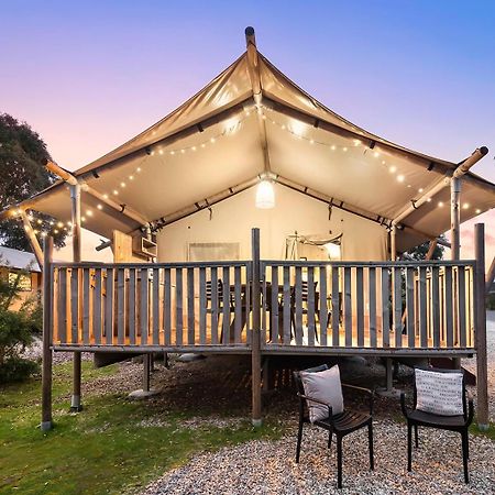 Scamander Sanctuary Holiday Park Esterno foto
